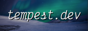 ashe's button - tempest.dev over a winter scene